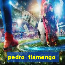 pedro flamengo antes e depois