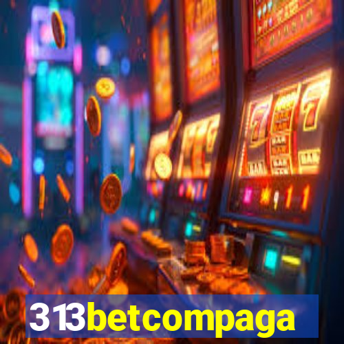 313betcompaga