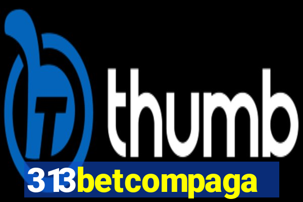 313betcompaga