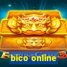 bico online