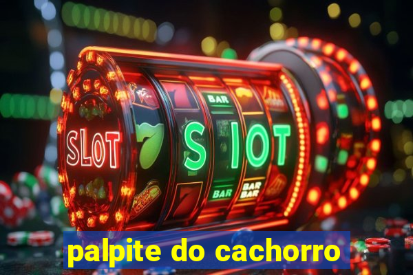 palpite do cachorro