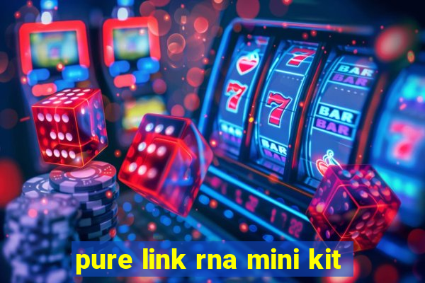 pure link rna mini kit