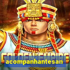 acompanhantesantos