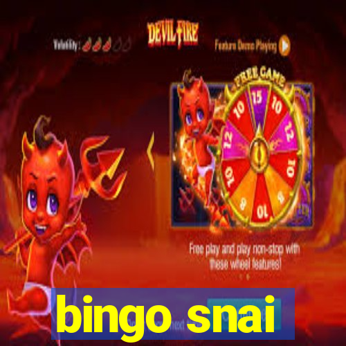 bingo snai