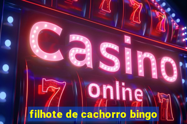 filhote de cachorro bingo