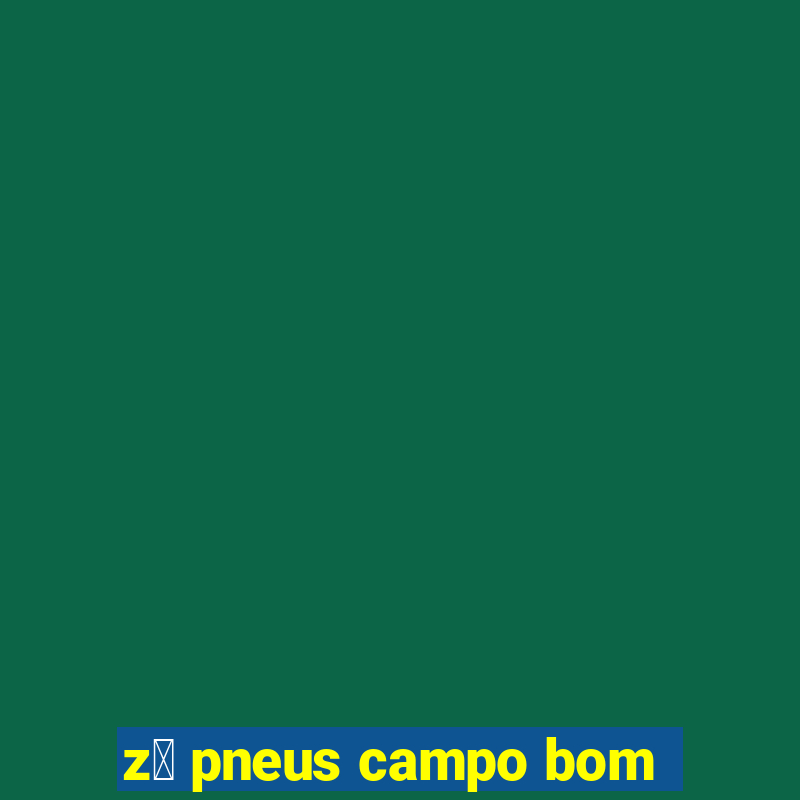 z茅 pneus campo bom