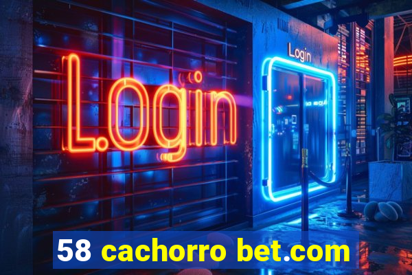 58 cachorro bet.com