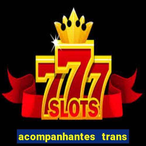 acompanhantes trans em santos