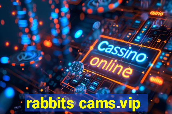 rabbits cams.vip