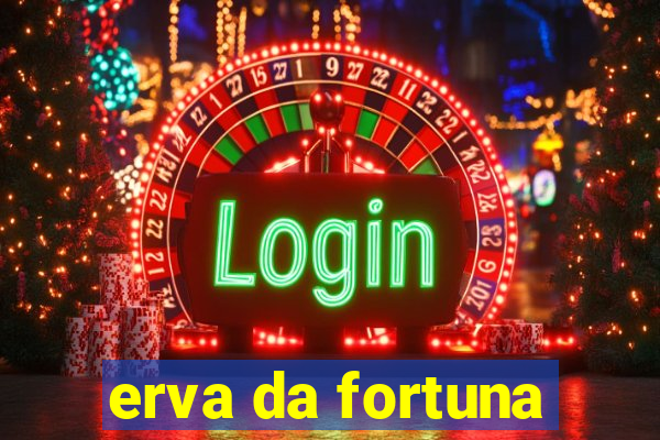 erva da fortuna