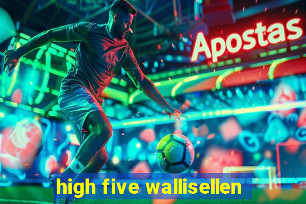 high five wallisellen