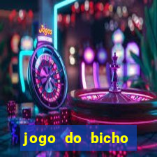 jogo do bicho online como jogar