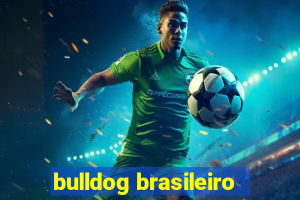 bulldog brasileiro