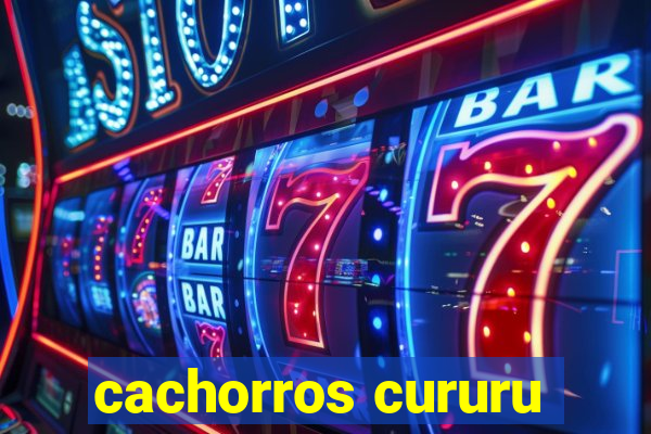 cachorros cururu