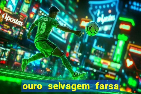 ouro selvagem farsa ouro selvagem o que aconteceu