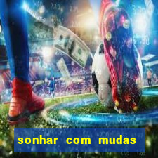 sonhar com mudas de plantas