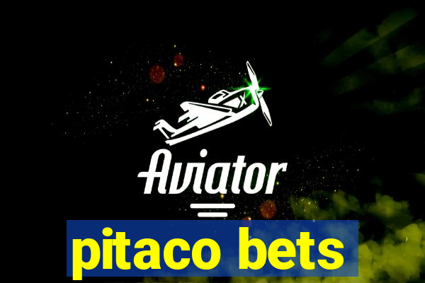 pitaco bets