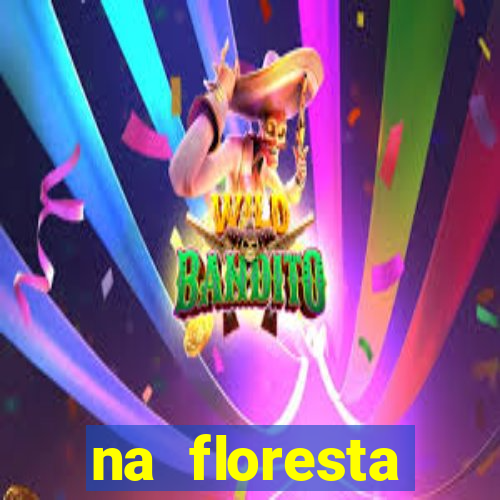 na floresta encantada meme