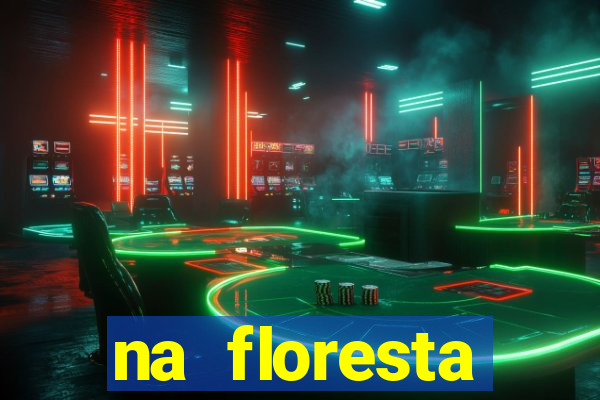 na floresta encantada meme