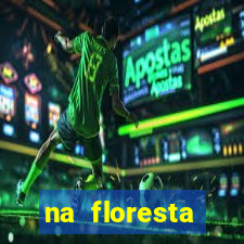 na floresta encantada meme