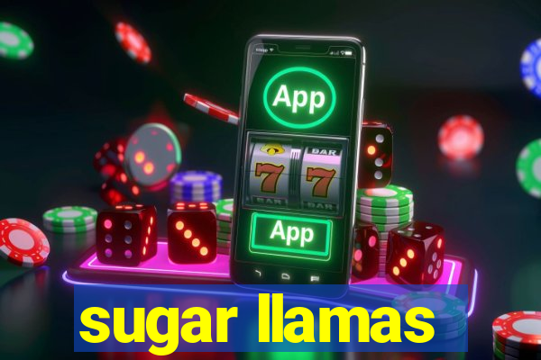 sugar llamas