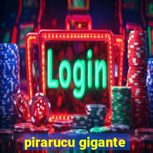 pirarucu gigante