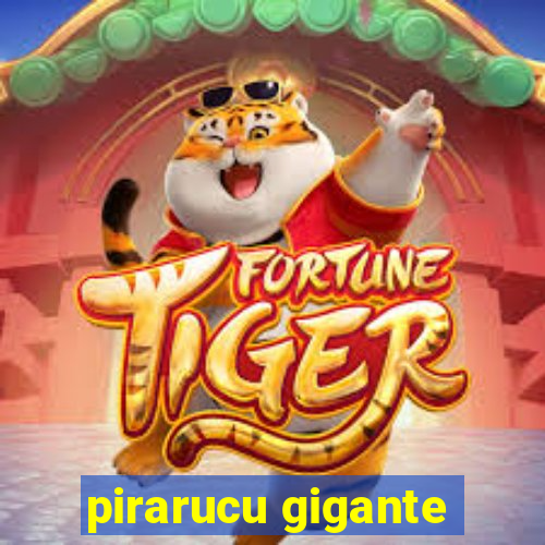 pirarucu gigante