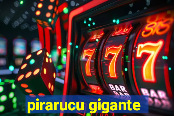 pirarucu gigante