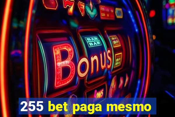 255 bet paga mesmo