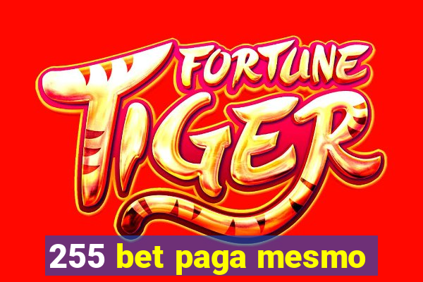 255 bet paga mesmo