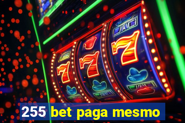 255 bet paga mesmo