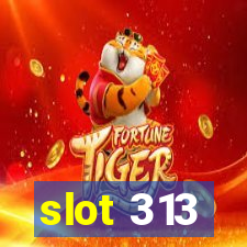 slot 313