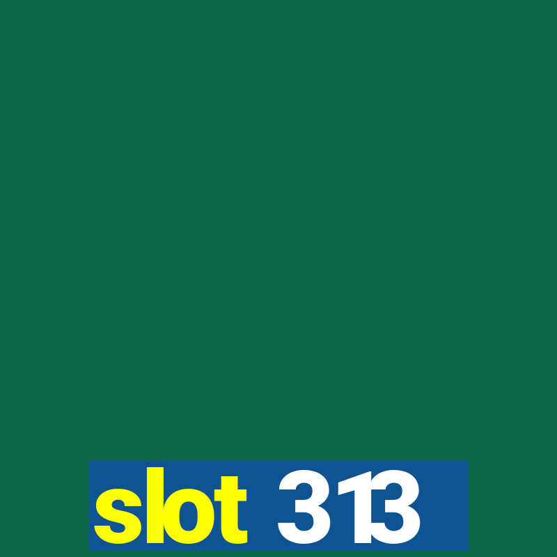 slot 313