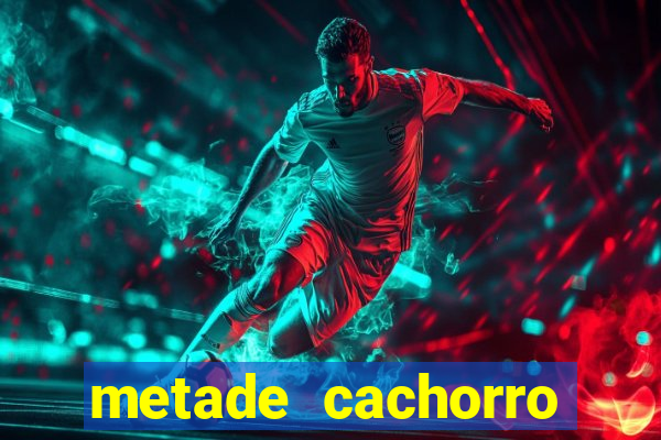 metade cachorro metade gato