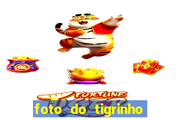 foto do tigrinho do jogo