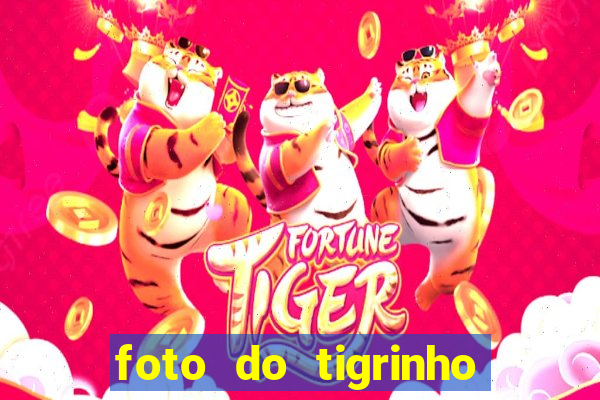 foto do tigrinho do jogo