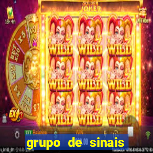 grupo de sinais fortune rabbit